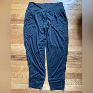NWT fabletics joggers